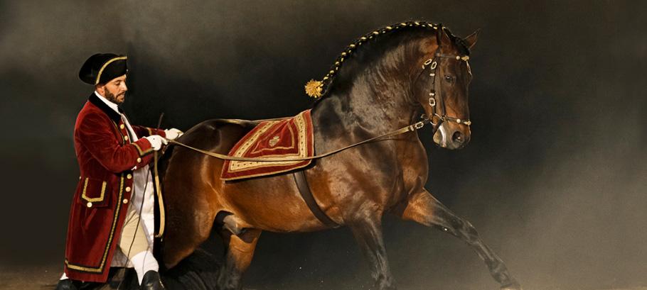 Lusitano Xperience - horseXperiences™ GO EQUESTRIAN