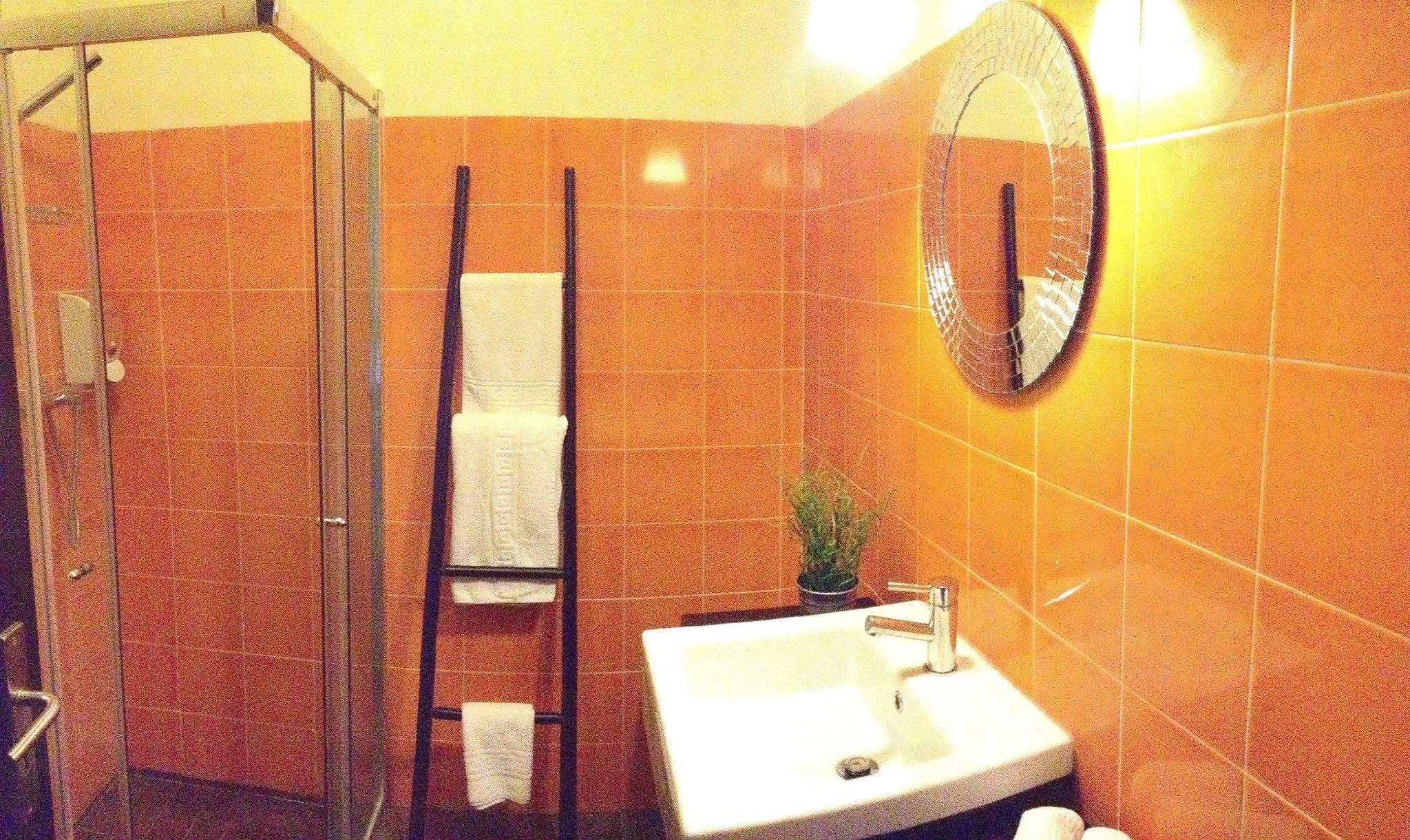 Lusitano Xperience - horseXperiences™ GO EQUESTRIAN