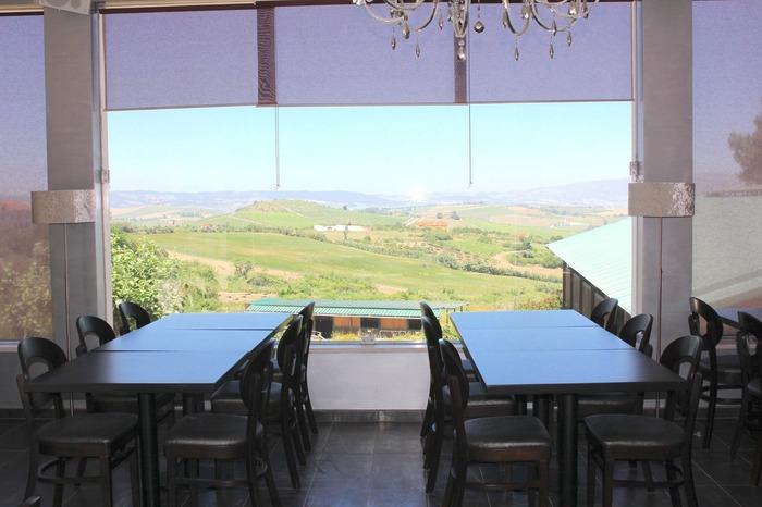 Lusitano Xperience - horseXperiences™ GO EQUESTRIAN