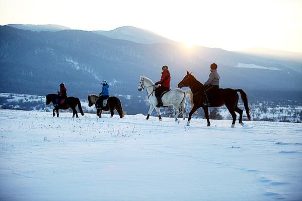 Transylvania Winter - horseXperiences™ GO EQUESTRIAN