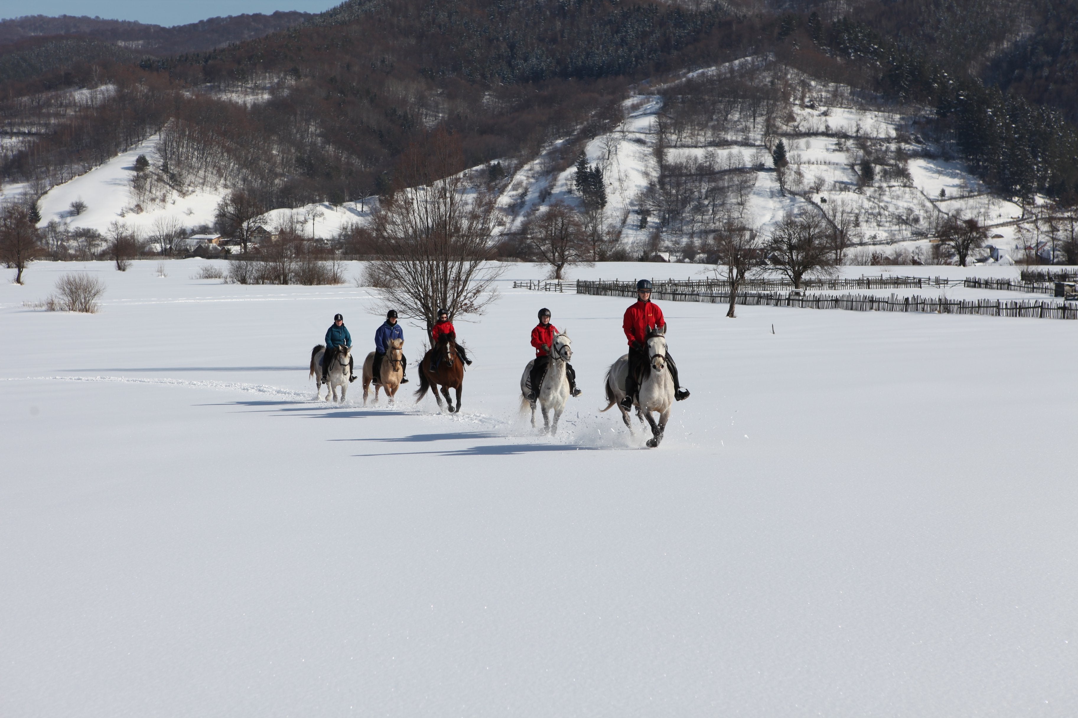 Transylvania Winter - horseXperiences™ GO EQUESTRIAN