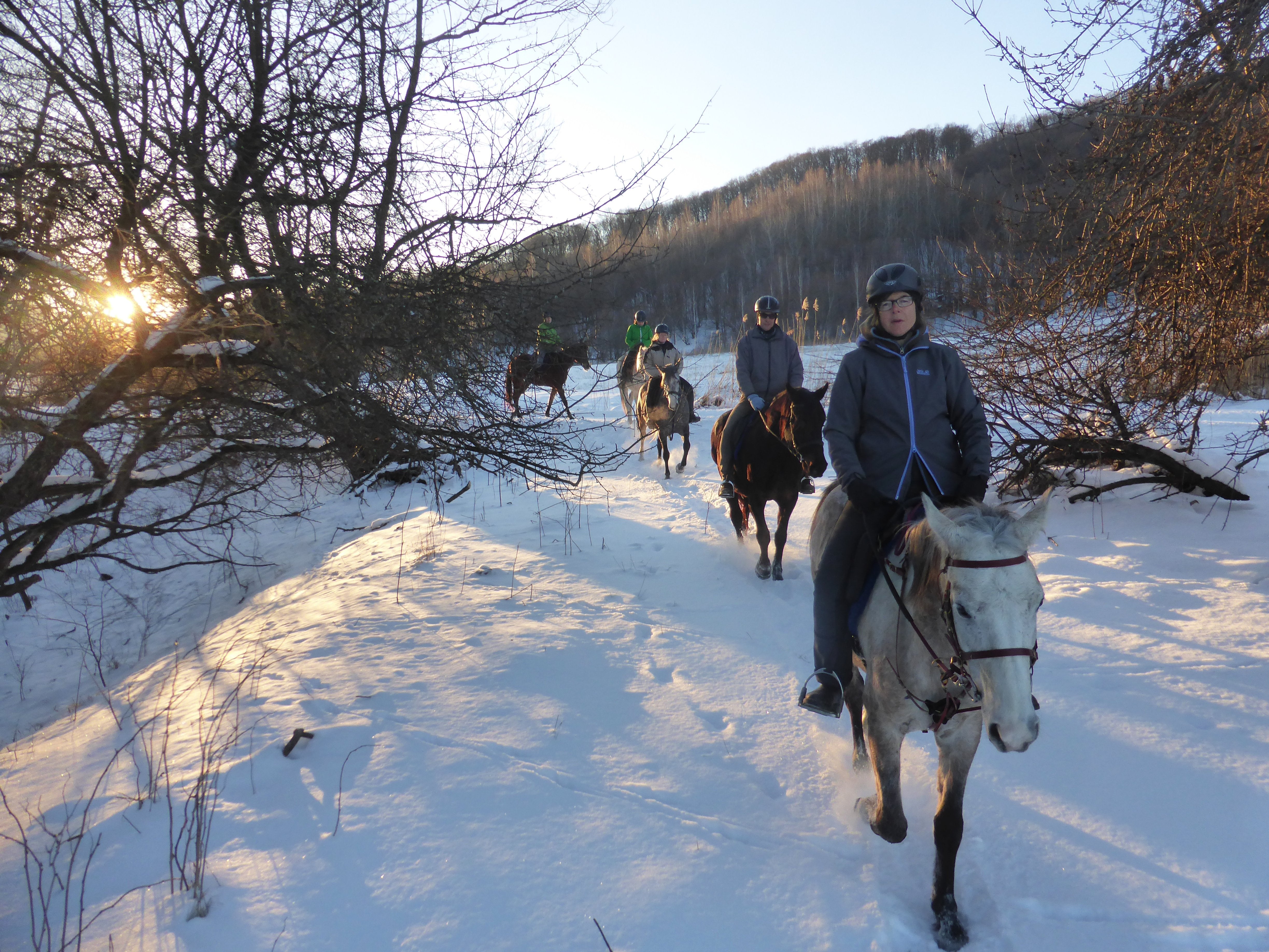 Transylvania Winter - horseXperiences™ GO EQUESTRIAN
