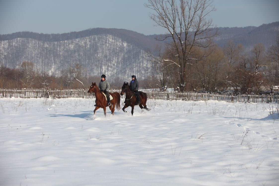 Transylvania Winter - horseXperiences™ GO EQUESTRIAN