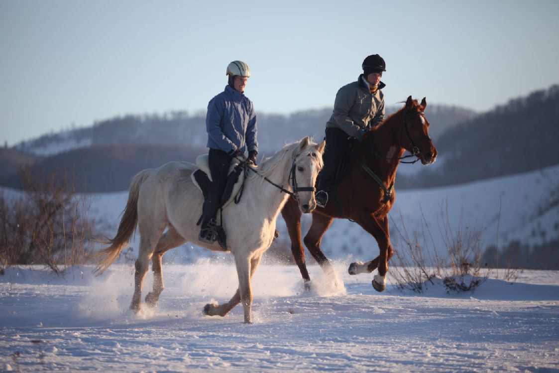 Transylvania Winter - horseXperiences™ GO EQUESTRIAN