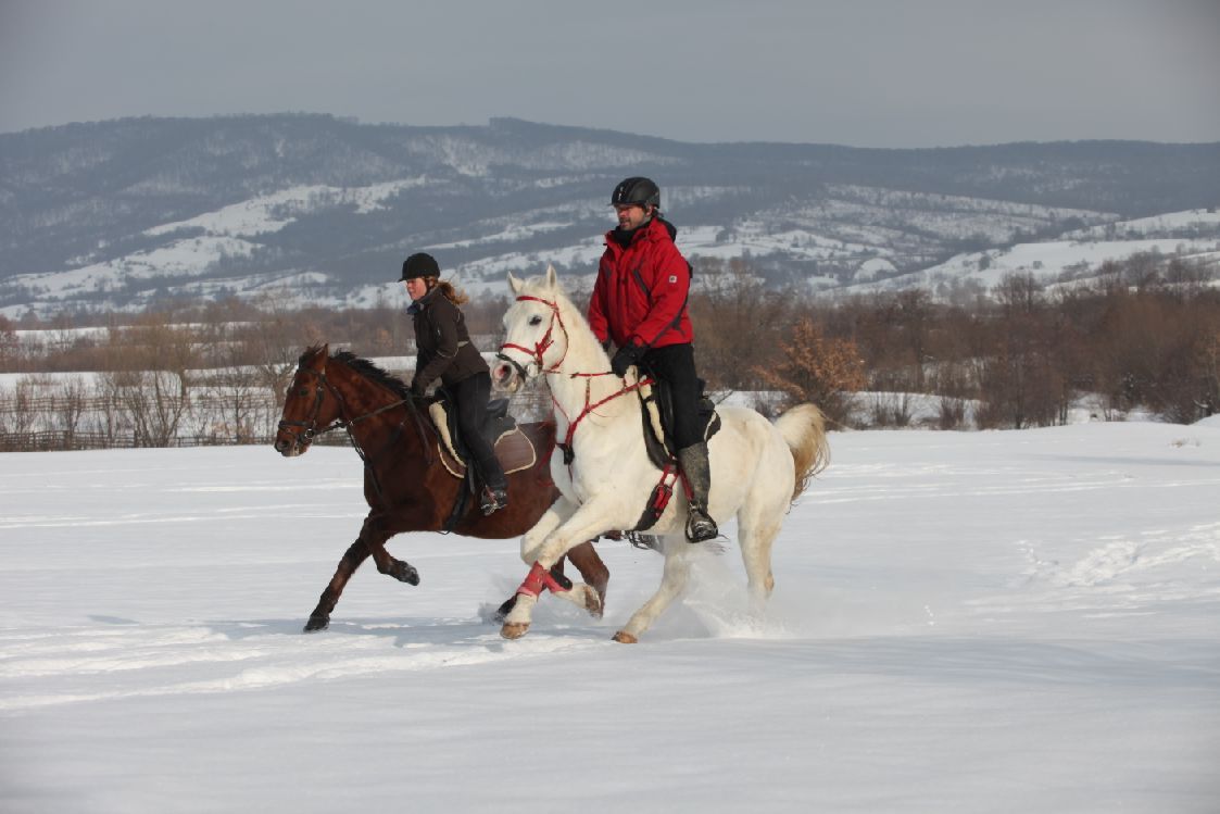 Transylvania Winter - horseXperiences™ GO EQUESTRIAN