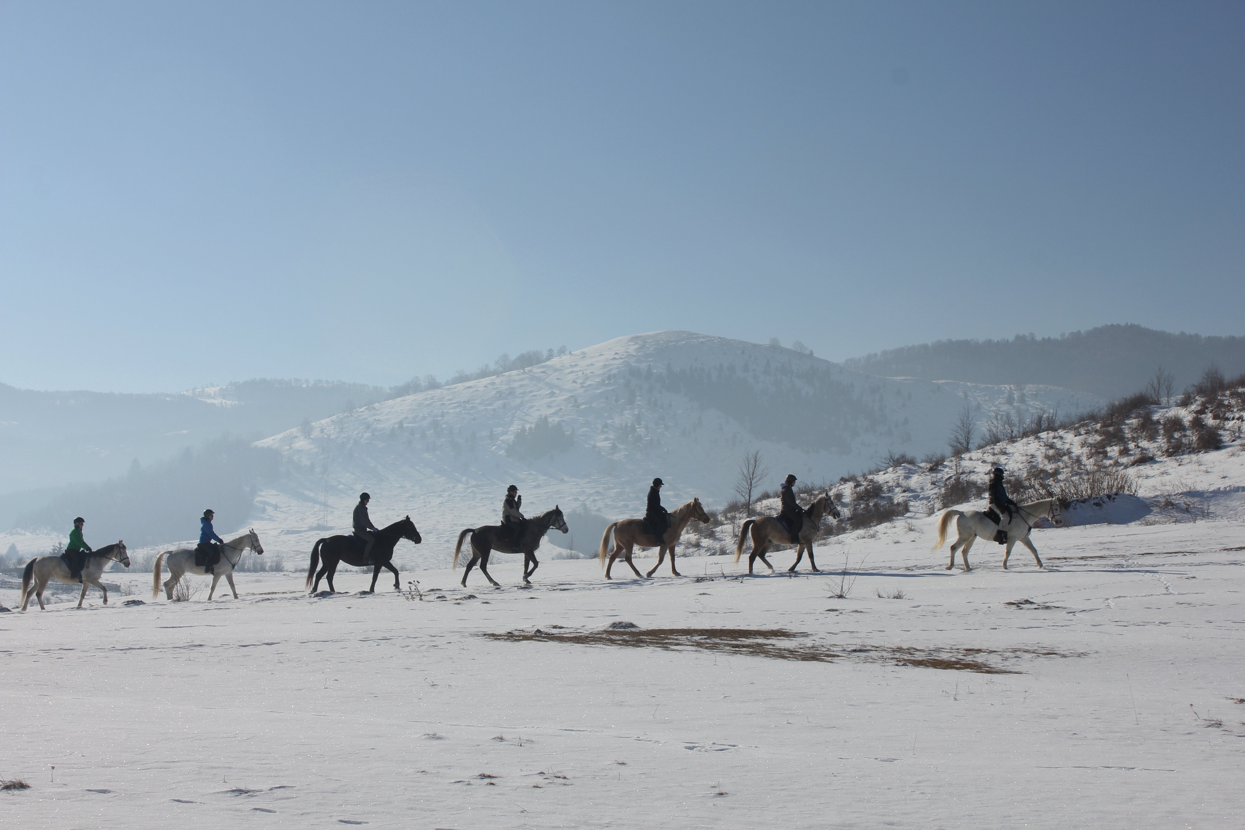 Transylvania Winter - horseXperiences™ GO EQUESTRIAN