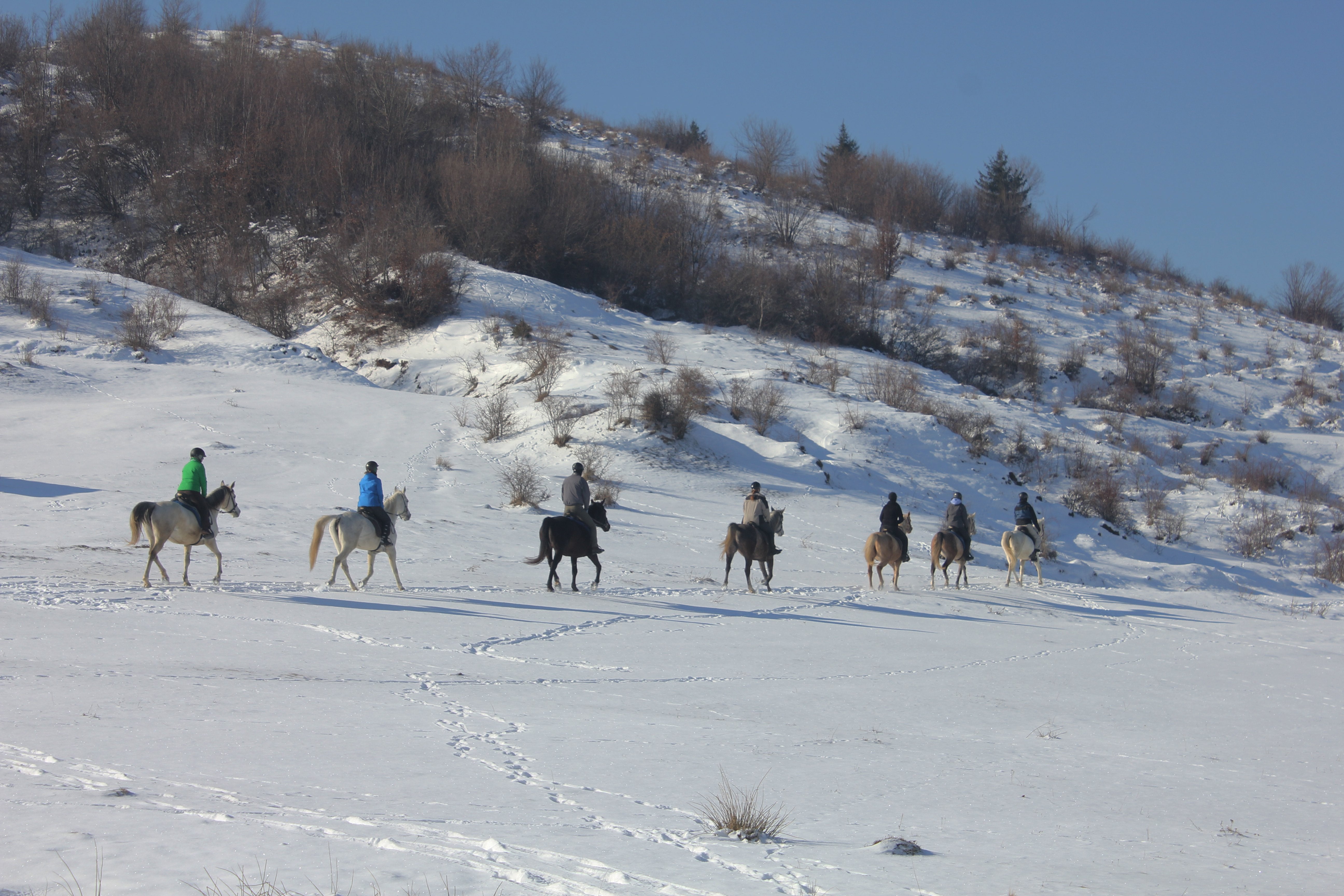 Transylvania Winter - horseXperiences™ GO EQUESTRIAN