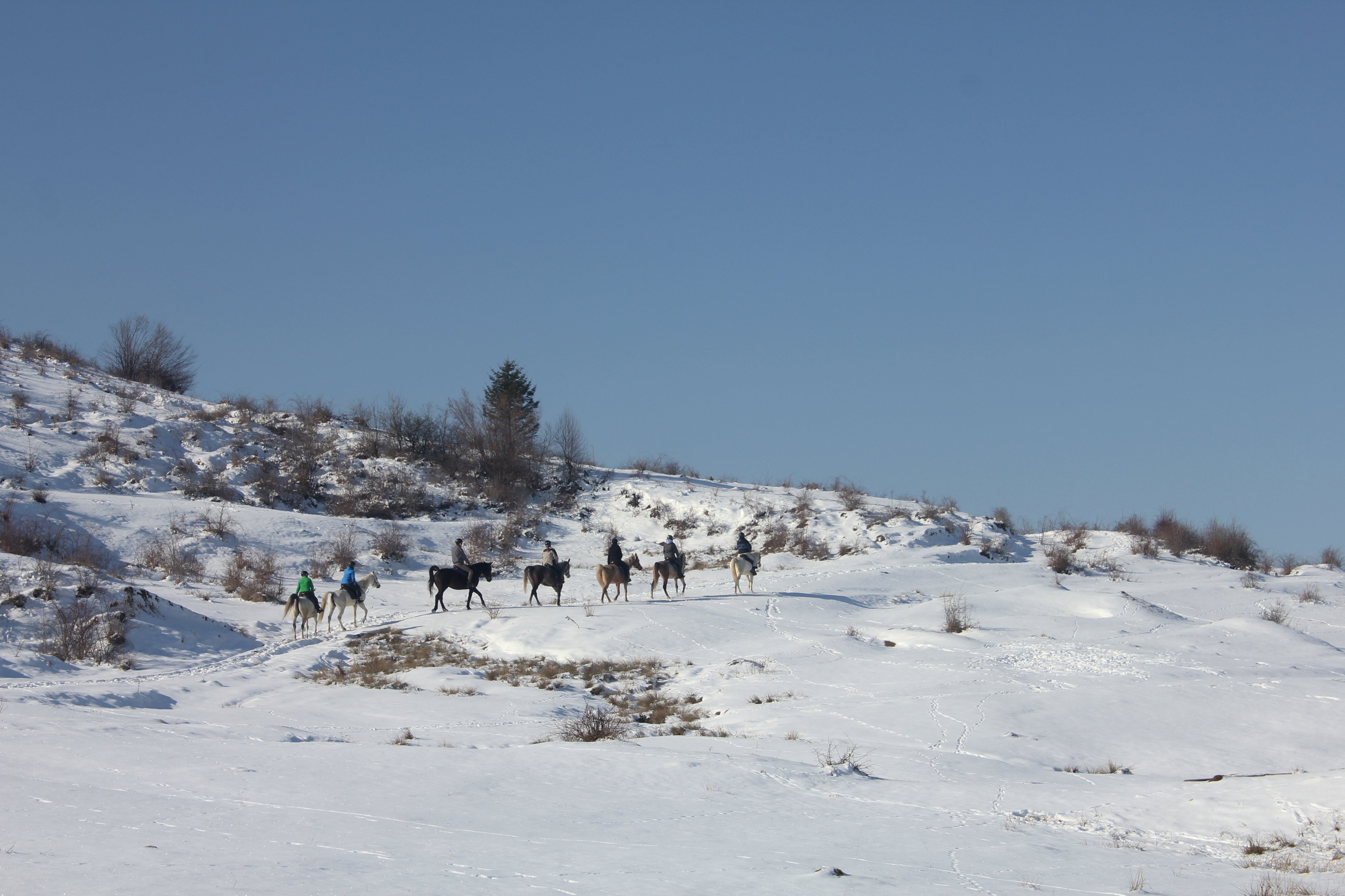 Transylvania Winter - horseXperiences™ GO EQUESTRIAN