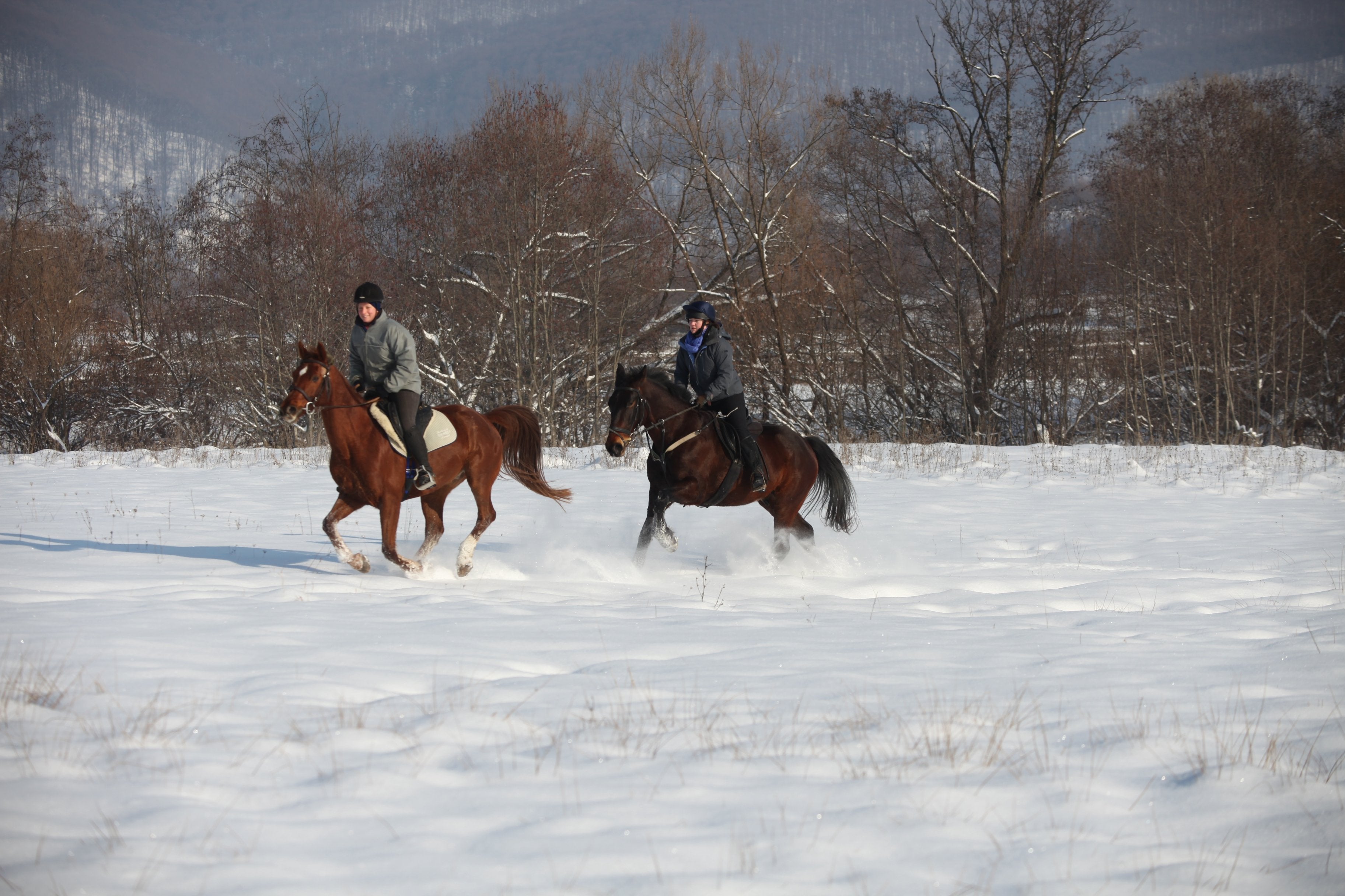 Transylvania Winter - horseXperiences™ GO EQUESTRIAN