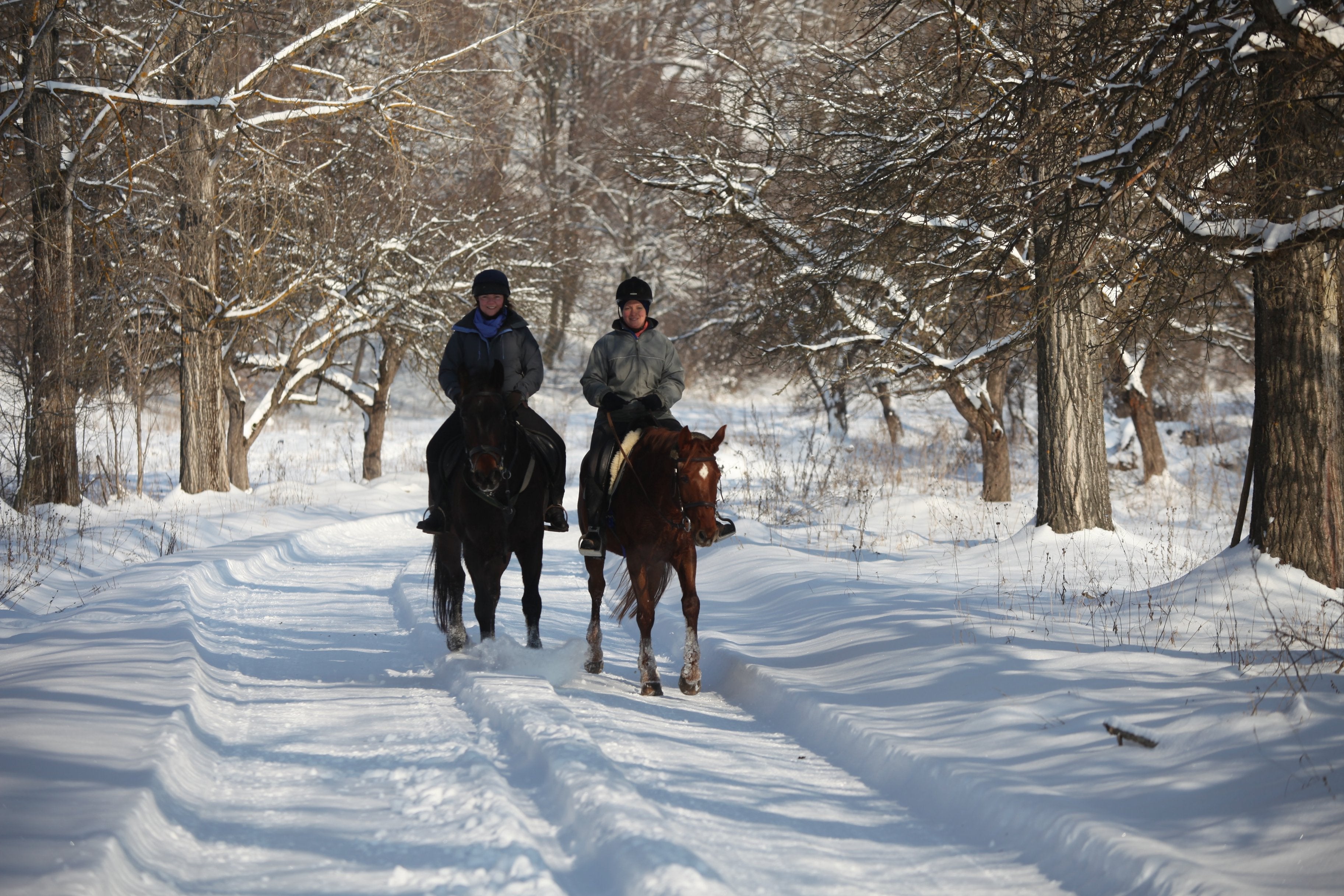 Transylvania Winter - horseXperiences™ GO EQUESTRIAN