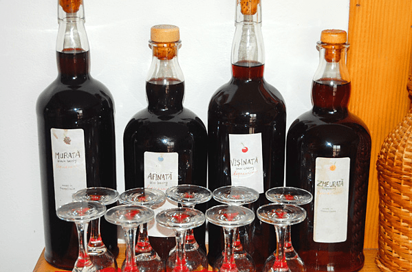 Carpathia Forests & Bears - horseXperiences™ GO EQUESTRIAN