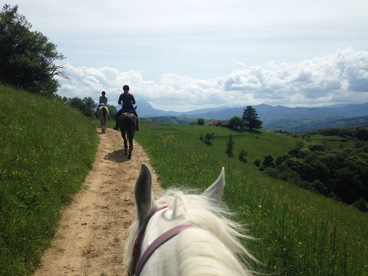 Carpathia Forests & Bears - horseXperiences™ GO EQUESTRIAN