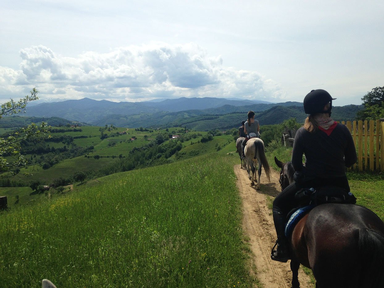 Carpathia Forests & Bears - horseXperiences™ GO EQUESTRIAN
