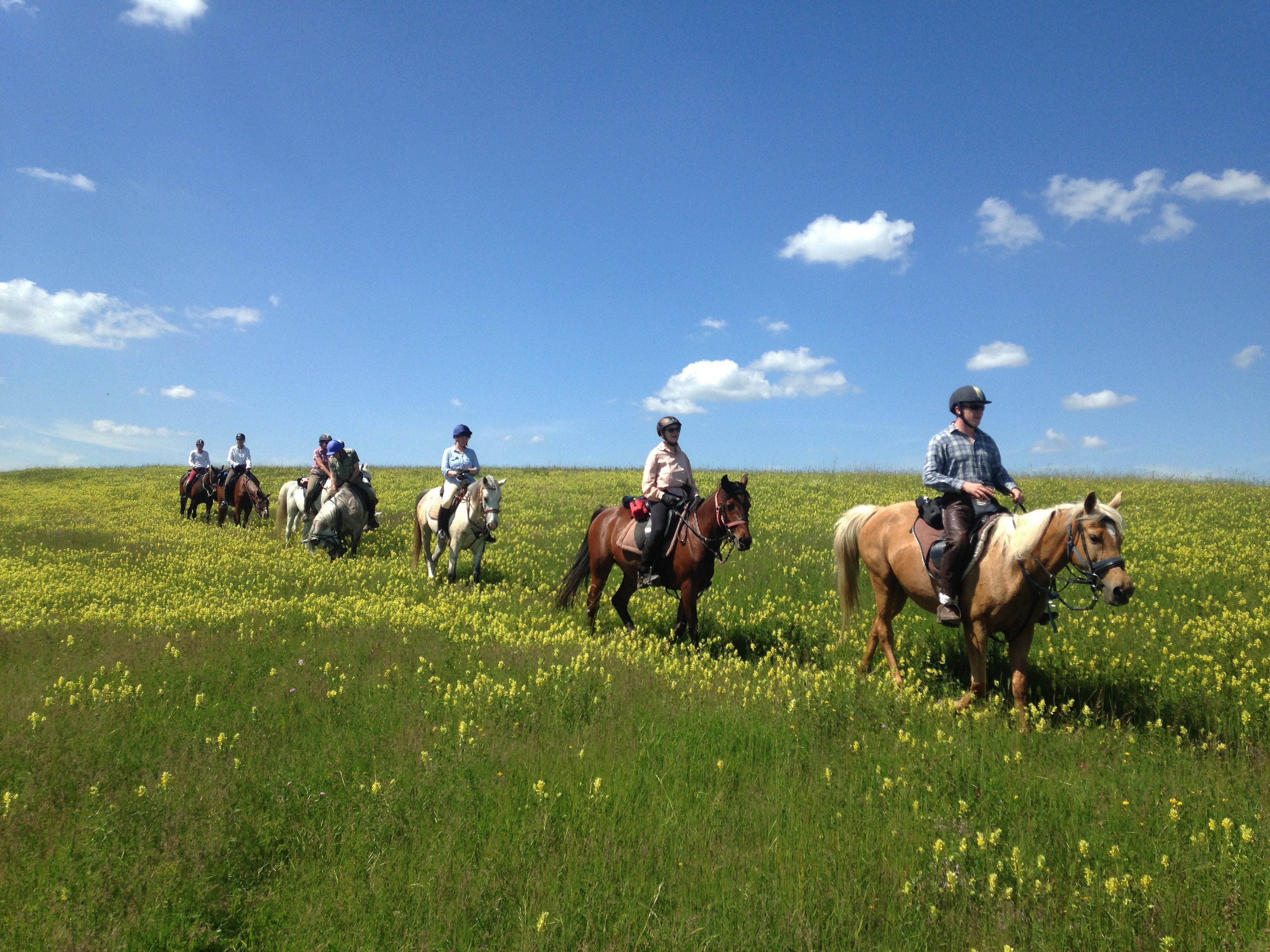 Transylvania Trail - horseXperiences™ GO EQUESTRIAN