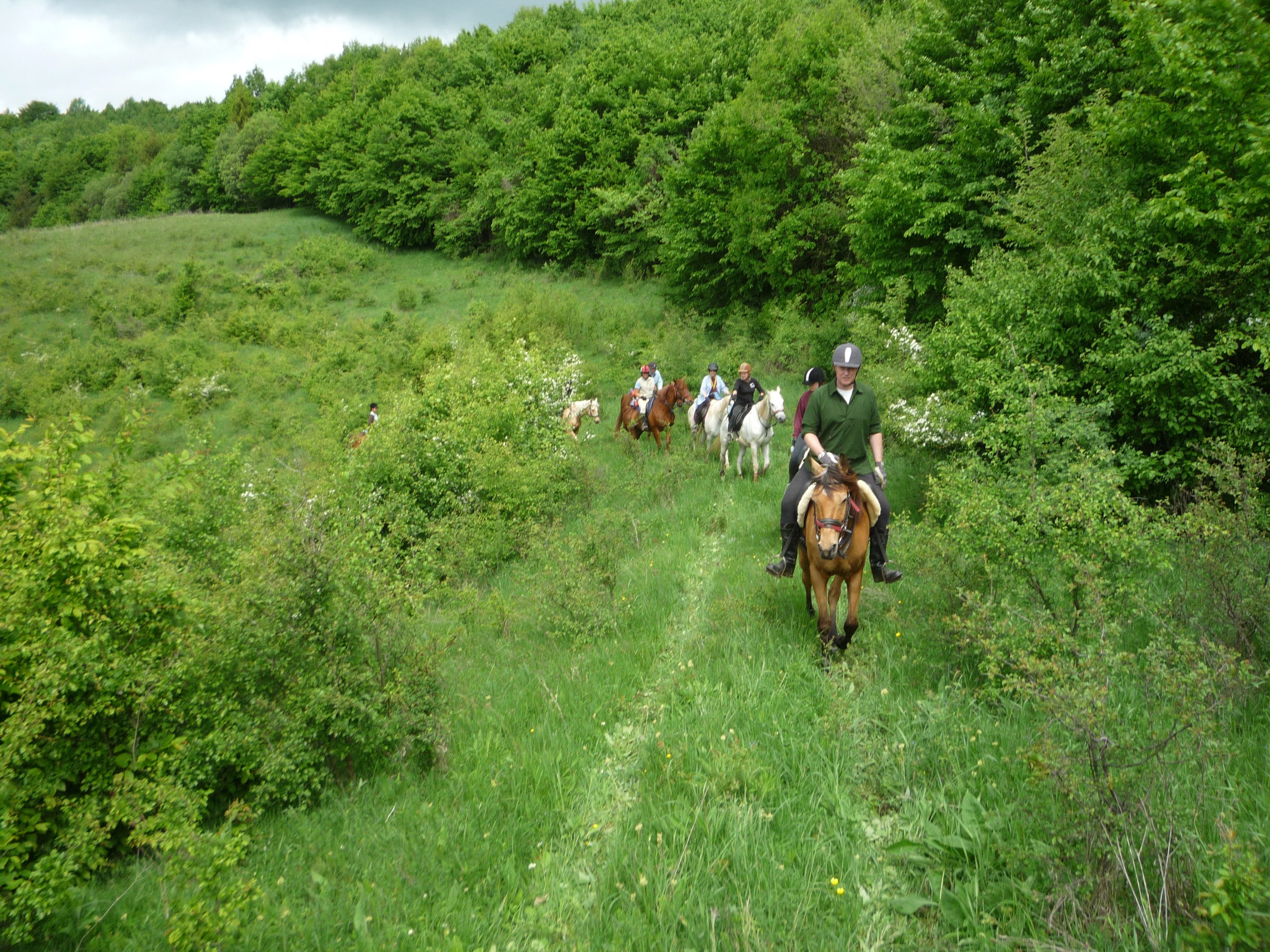 Carpathia Forests & Bears - horseXperiences™ GO EQUESTRIAN