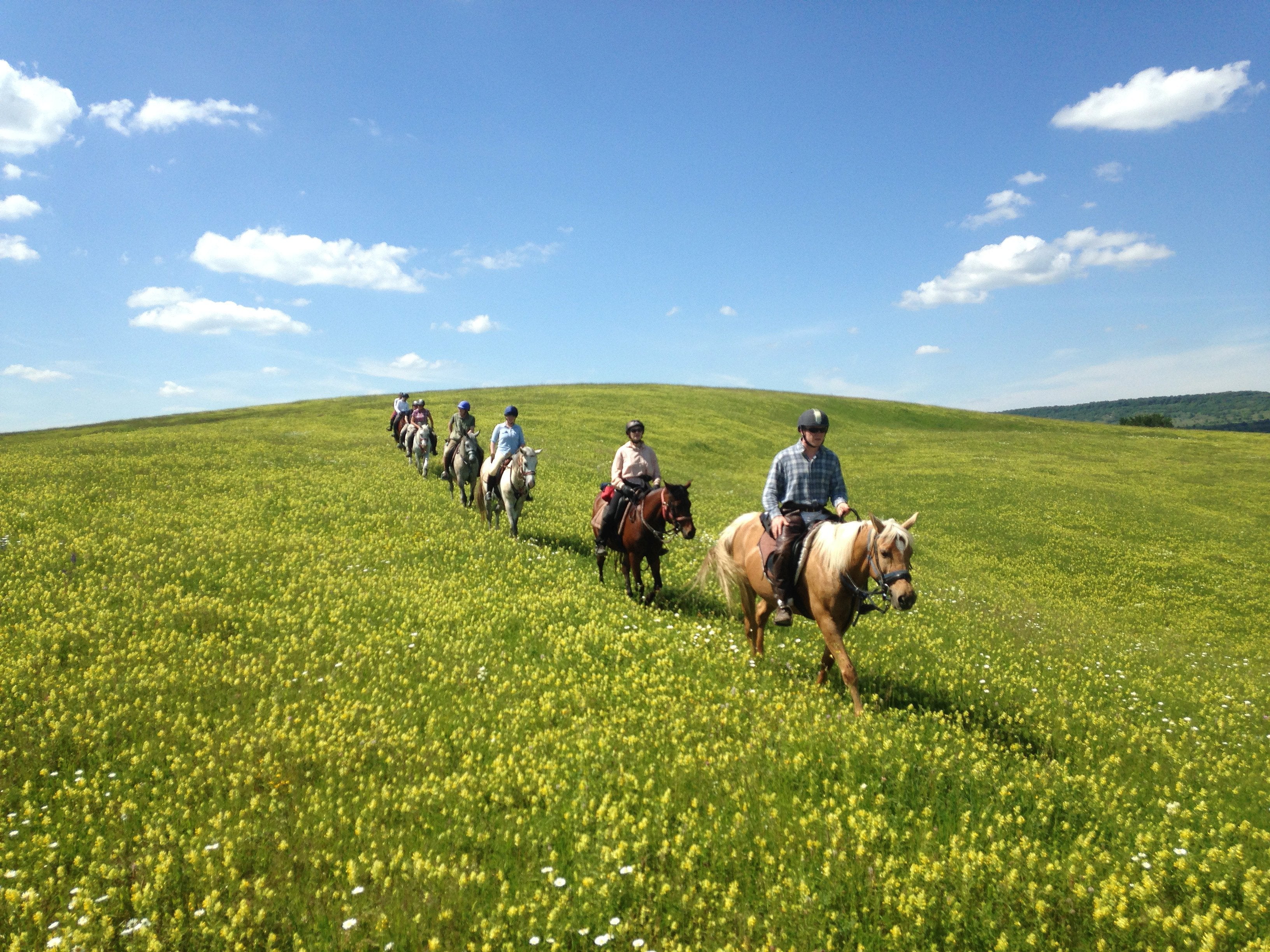 Transylvania Trail - horseXperiences™ GO EQUESTRIAN
