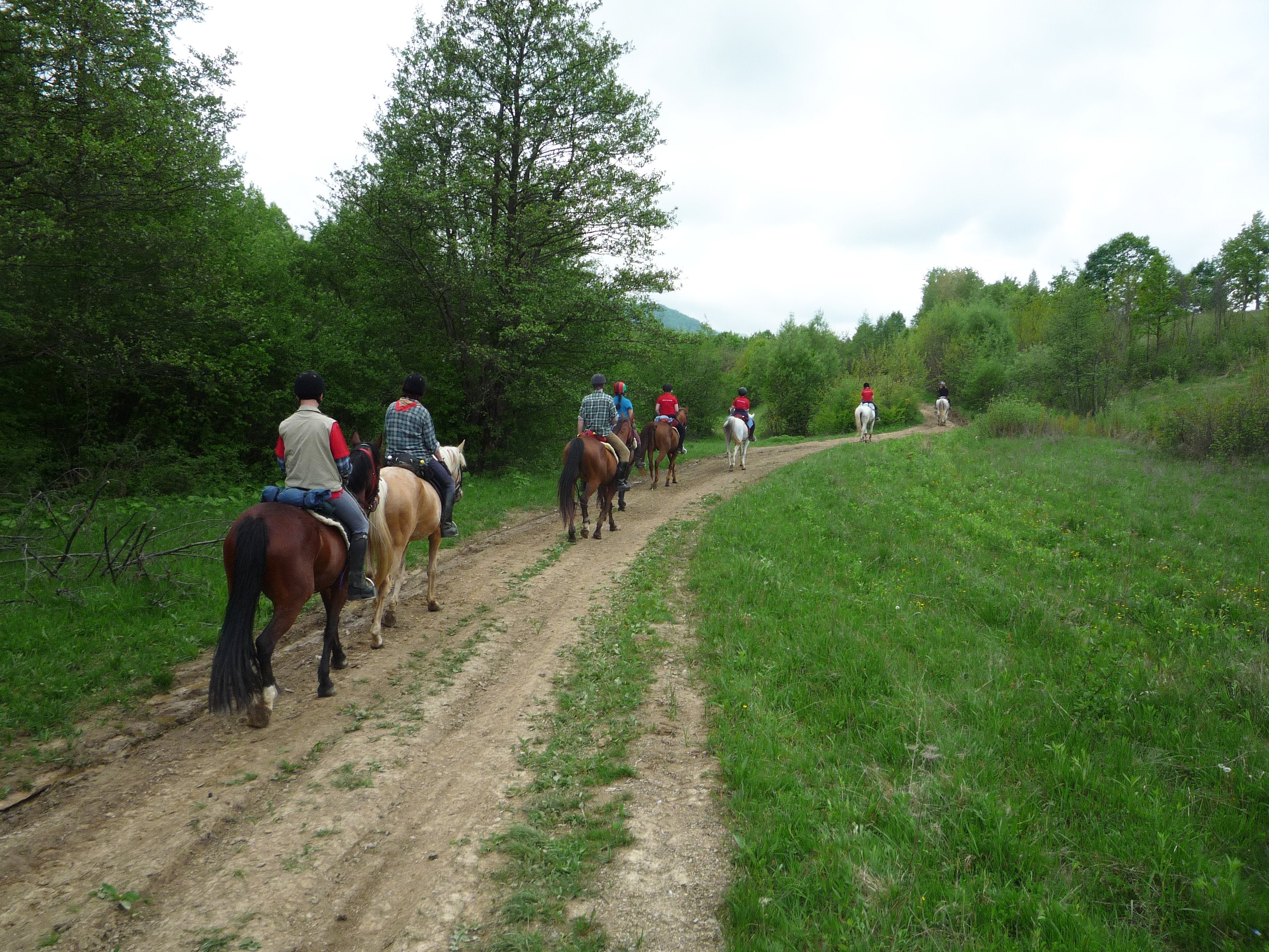 Transylvania Trail - horseXperiences™ GO EQUESTRIAN