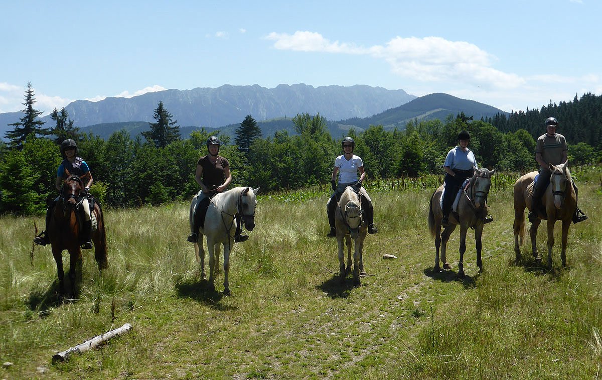 Carpathia Forests & Bears - horseXperiences™ GO EQUESTRIAN