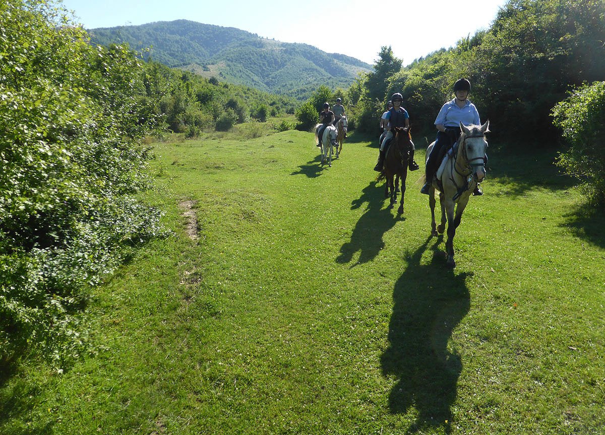 Carpathia Forests & Bears - horseXperiences™ GO EQUESTRIAN