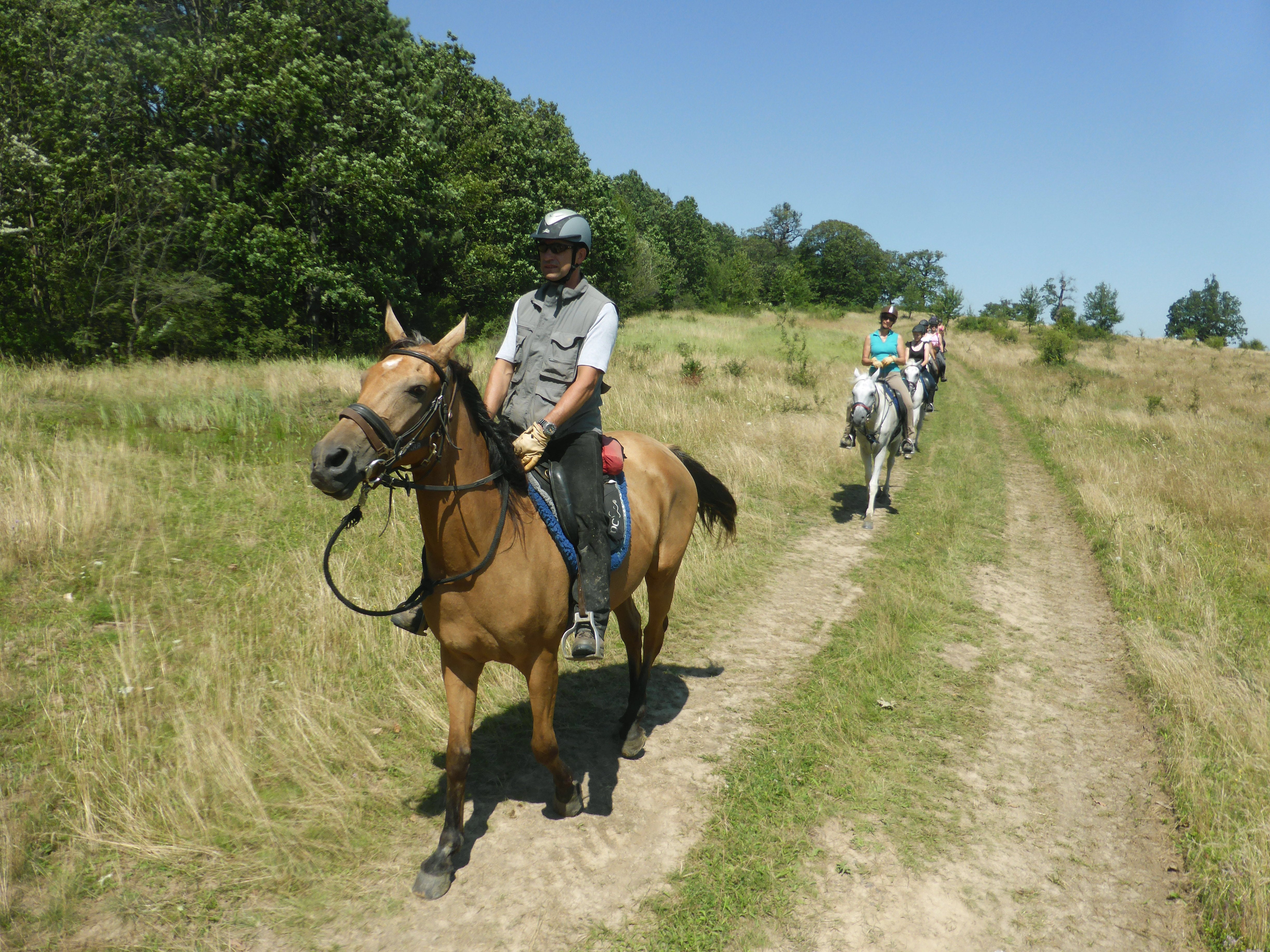 Transylvania Trail - horseXperiences™ GO EQUESTRIAN