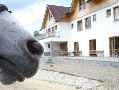 Transylvania Trail - horseXperiences™ GO EQUESTRIAN