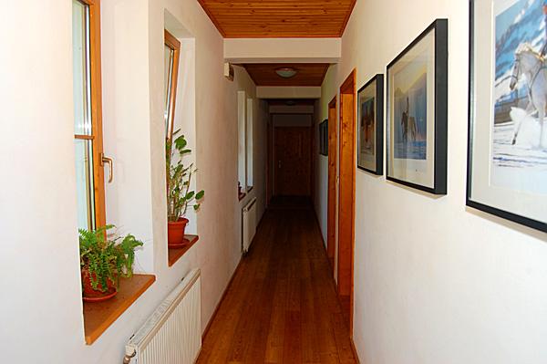 Carpathia Forests & Bears - horseXperiences™ GO EQUESTRIAN