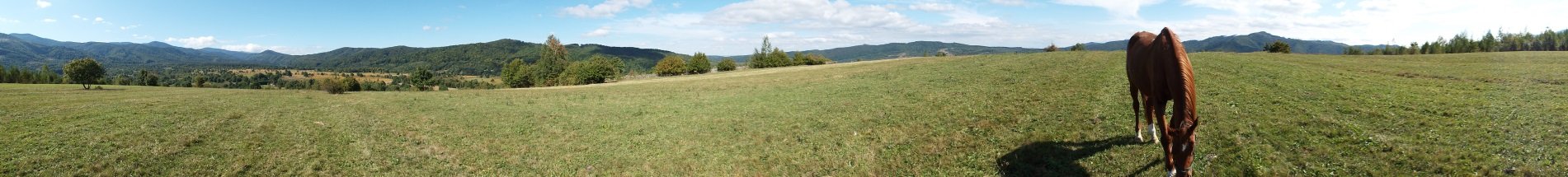 Carpathia Gourmet Ride - horseXperiences™ GO EQUESTRIAN