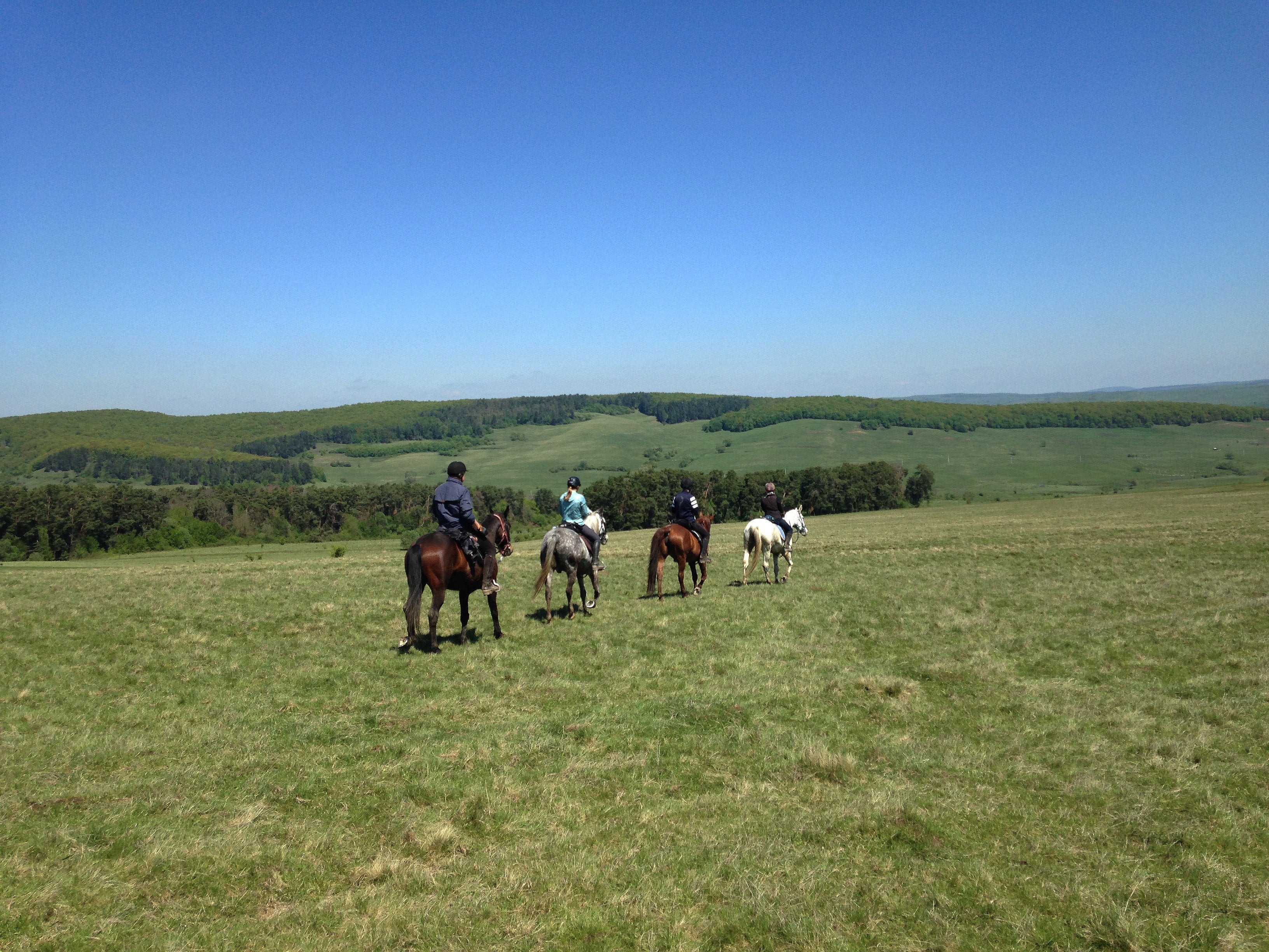 Transylvania Trail - horseXperiences™ GO EQUESTRIAN