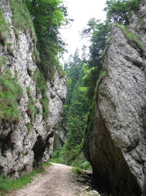 Carpathia Gourmet Ride - horseXperiences™ GO EQUESTRIAN