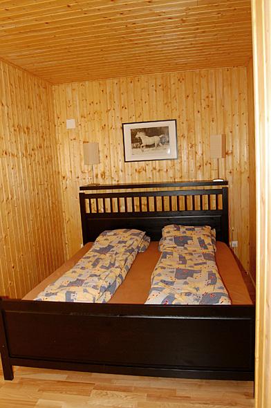 Carpathia Forests & Bears - horseXperiences™ GO EQUESTRIAN