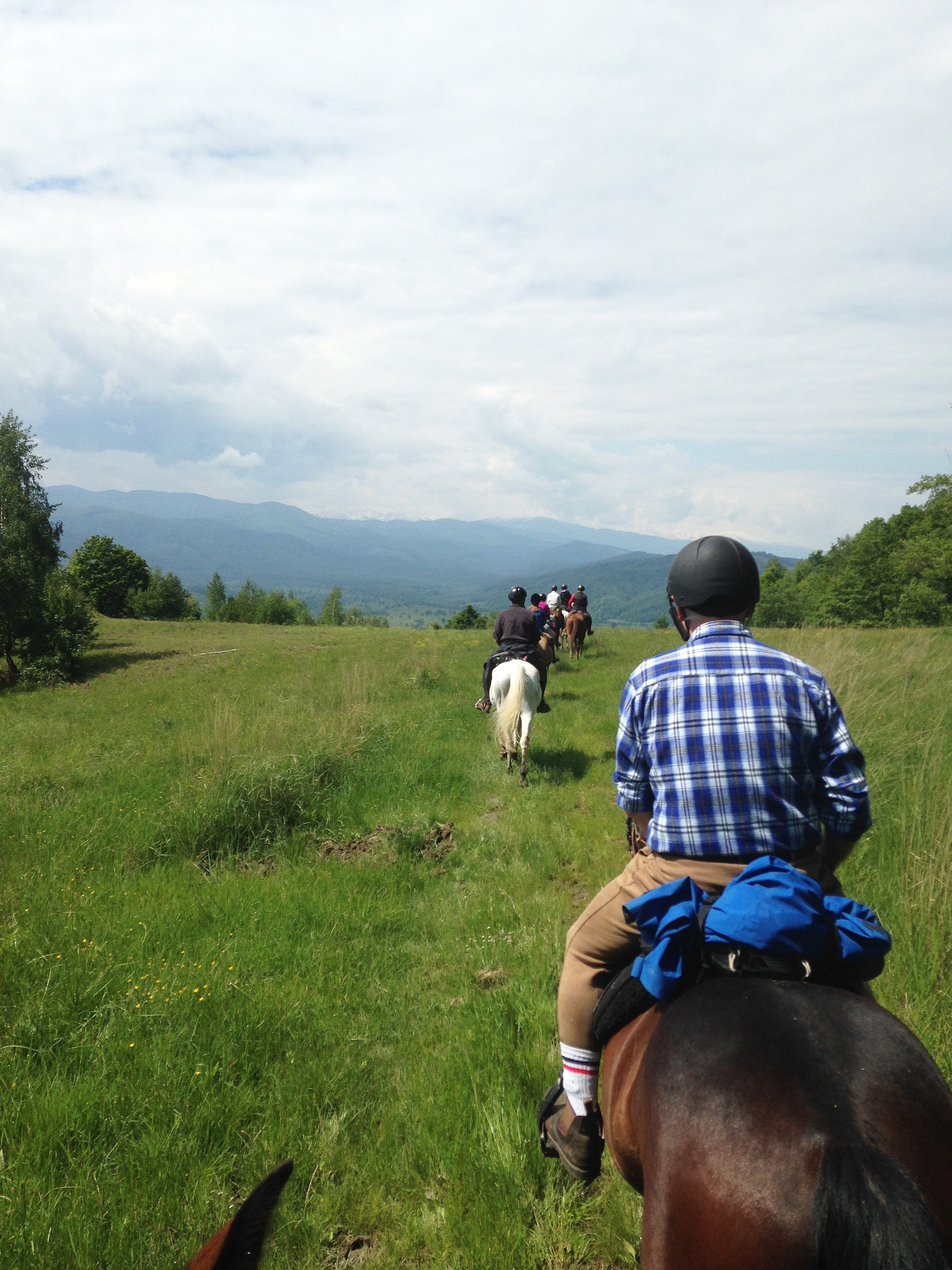 Carpathia Forests & Bears - horseXperiences™ GO EQUESTRIAN