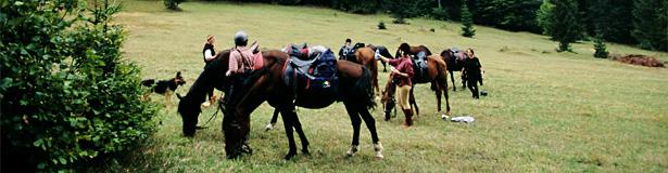 Countryside & Wilderness Xperience - horseXperiences™ GO EQUESTRIAN