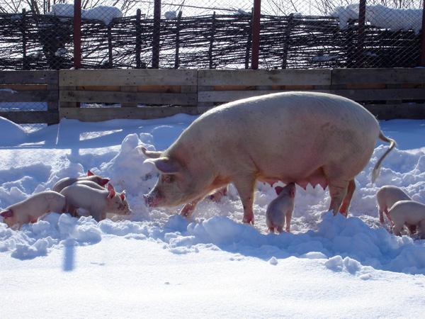 Countryside & Wilderness Xperience - horseXperiences™ GO EQUESTRIAN