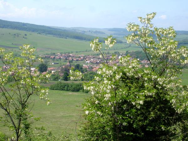 Countryside & Wilderness Xperience - horseXperiences™ GO EQUESTRIAN