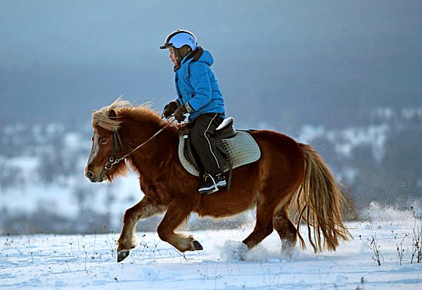 Countryside & Wilderness Xperience - horseXperiences™ GO EQUESTRIAN