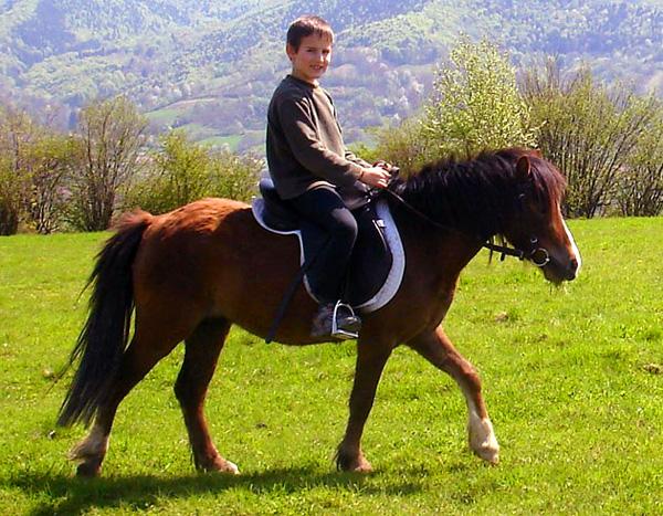 Countryside & Wilderness Xperience - horseXperiences™ GO EQUESTRIAN