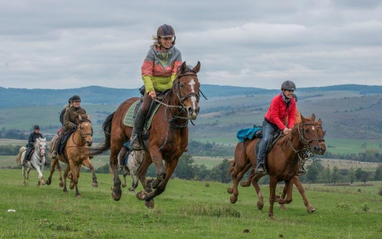 Countryside & Wilderness Xperience - horseXperiences™ GO EQUESTRIAN