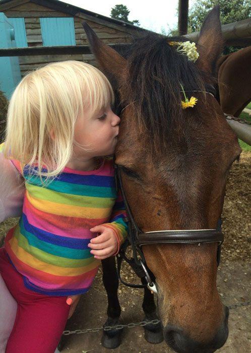 Marvellous Africa - horseXperiences™ GO EQUESTRIAN