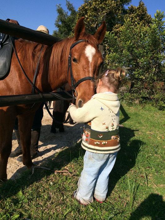 Marvellous Africa - horseXperiences™ GO EQUESTRIAN