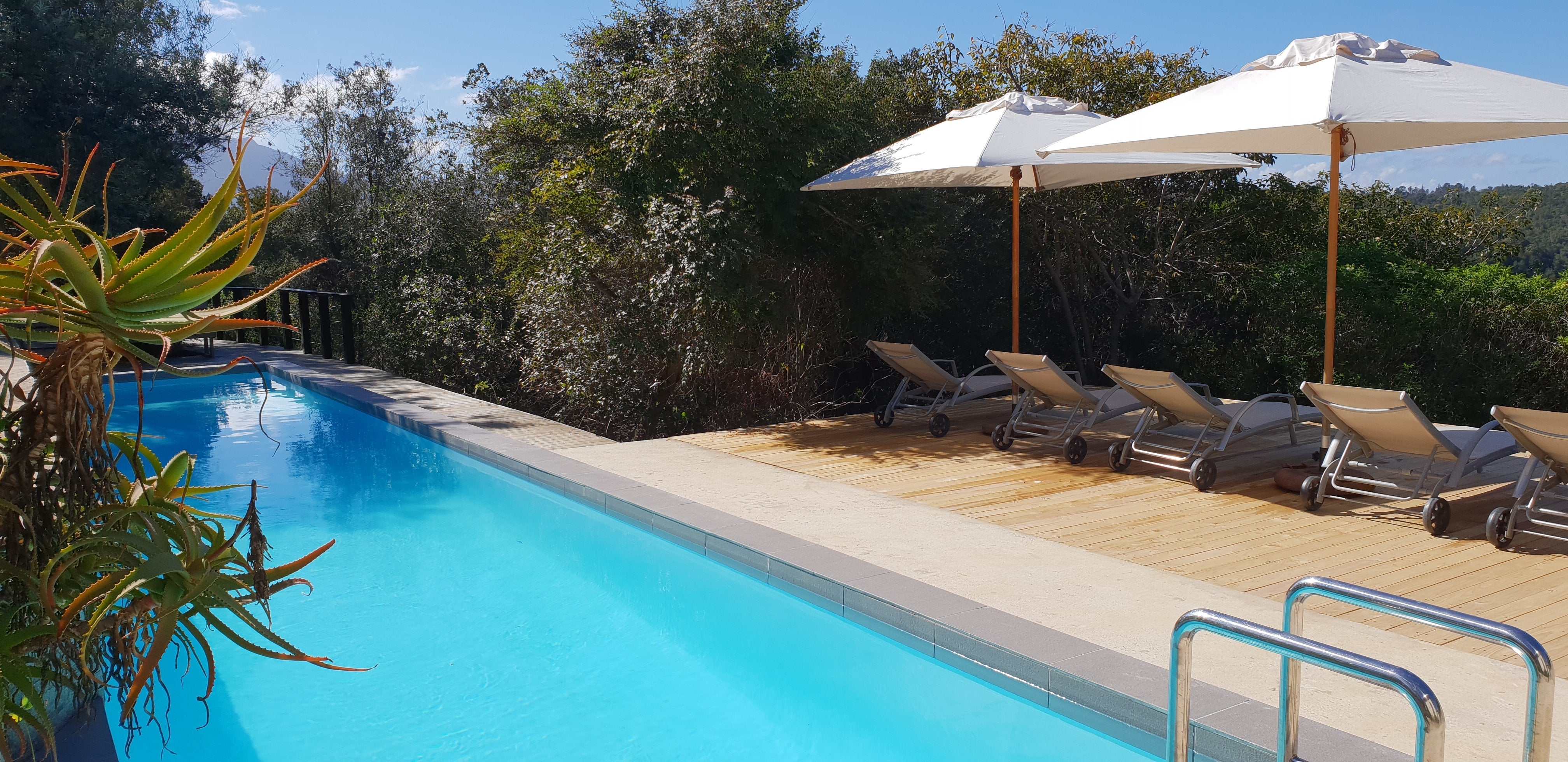 Marvellous Africa - horseXperiences™ GO EQUESTRIAN