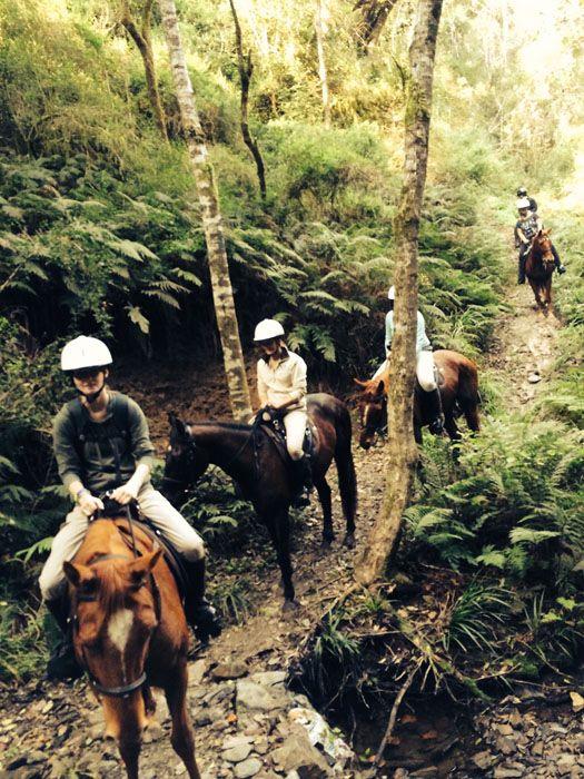 Marvellous Africa - horseXperiences™ GO EQUESTRIAN