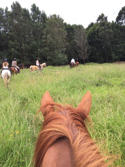 Marvellous Africa - horseXperiences™ GO EQUESTRIAN