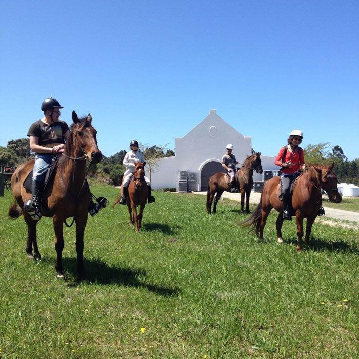 Marvellous Africa - horseXperiences™ GO EQUESTRIAN