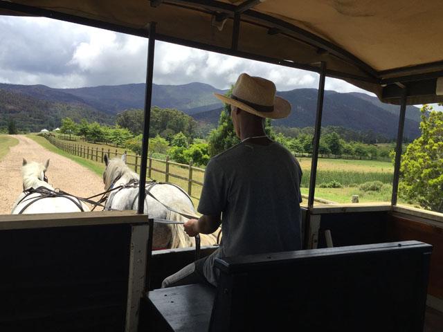 Marvellous Africa - horseXperiences™ GO EQUESTRIAN