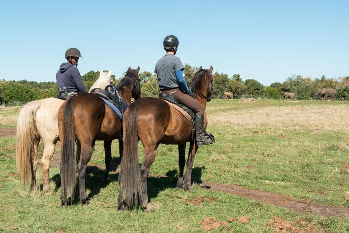 Marvellous Africa - horseXperiences™ GO EQUESTRIAN