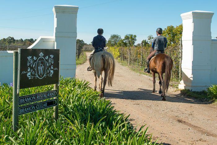 Marvellous Africa - horseXperiences™ GO EQUESTRIAN