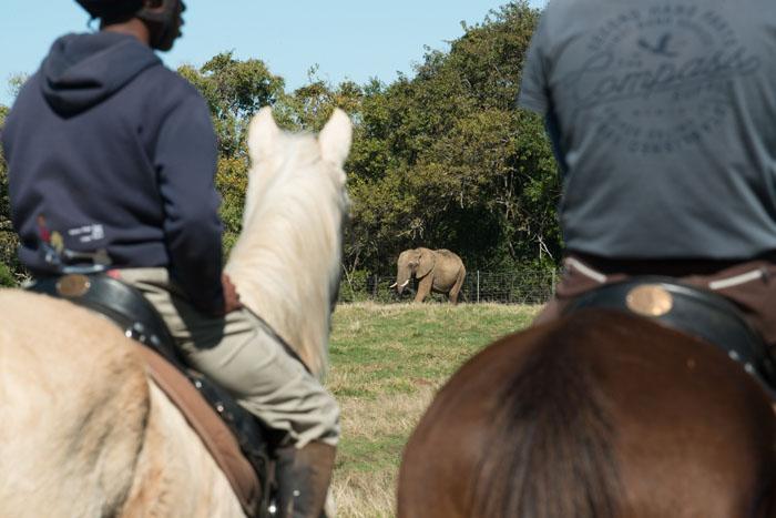 Marvellous Africa - horseXperiences™ GO EQUESTRIAN