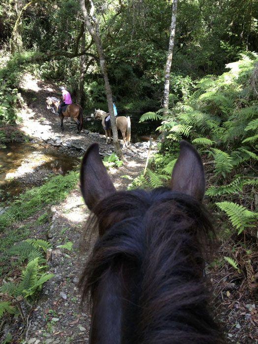 Marvellous Africa - horseXperiences™ GO EQUESTRIAN