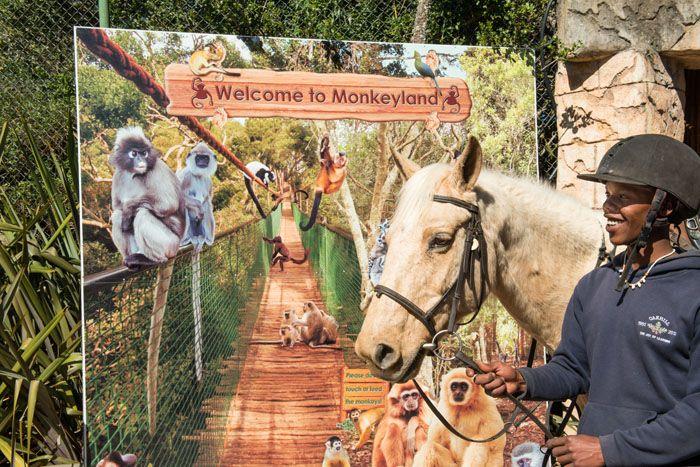 Marvellous Africa - horseXperiences™ GO EQUESTRIAN