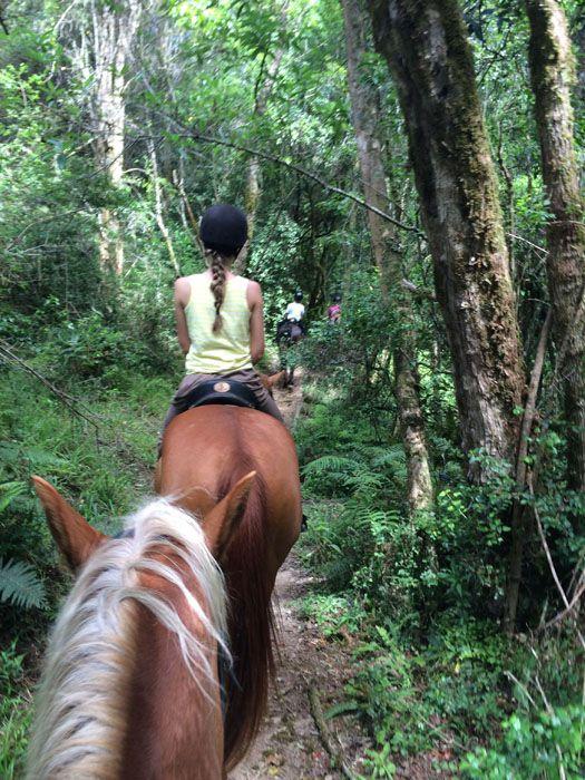 Marvellous Africa - horseXperiences™ GO EQUESTRIAN